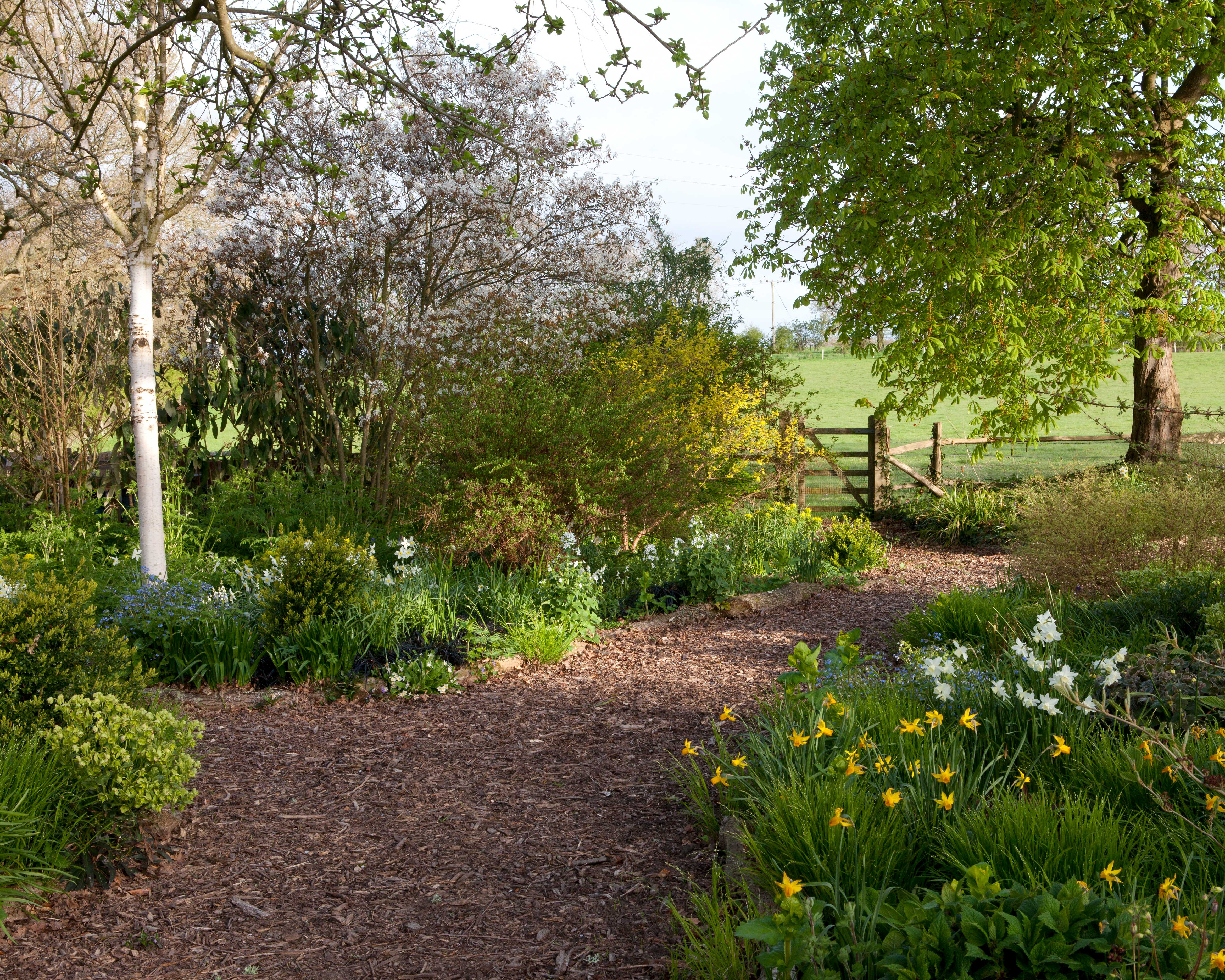 Landscaping & Garden Design work example 6 - UK residential property