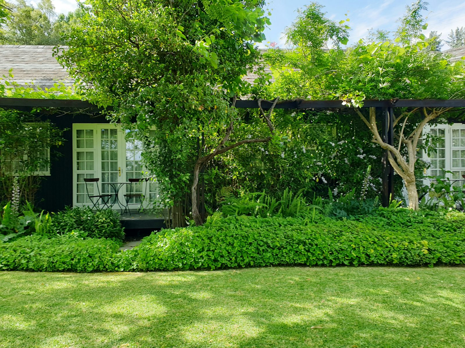 Landscaped rear garden with a planted pergola, borders and a manicured lawn