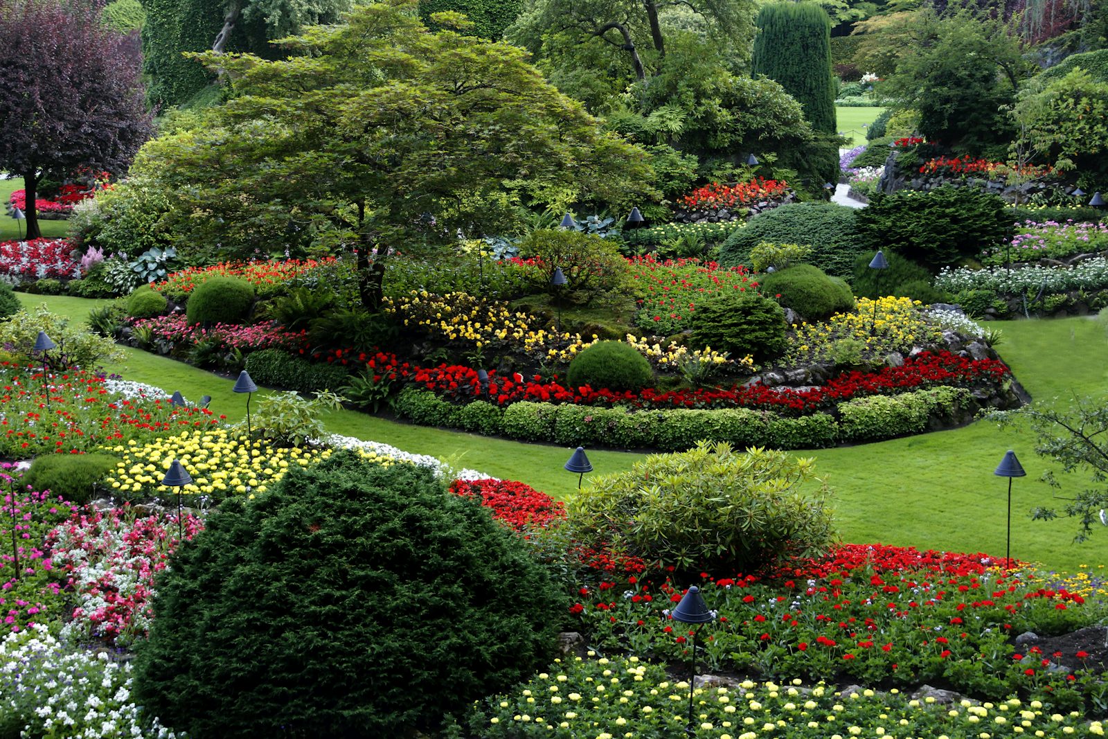 Formal landscaped garden with colourful flower beds, shaped shrubs and lawn