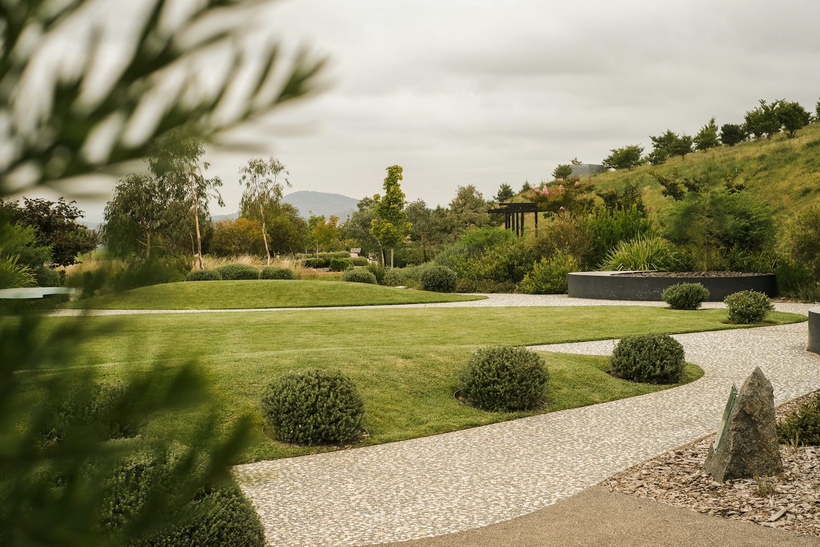 Large landscaped lawn with sweeping gravel path and shaped shrub planting
