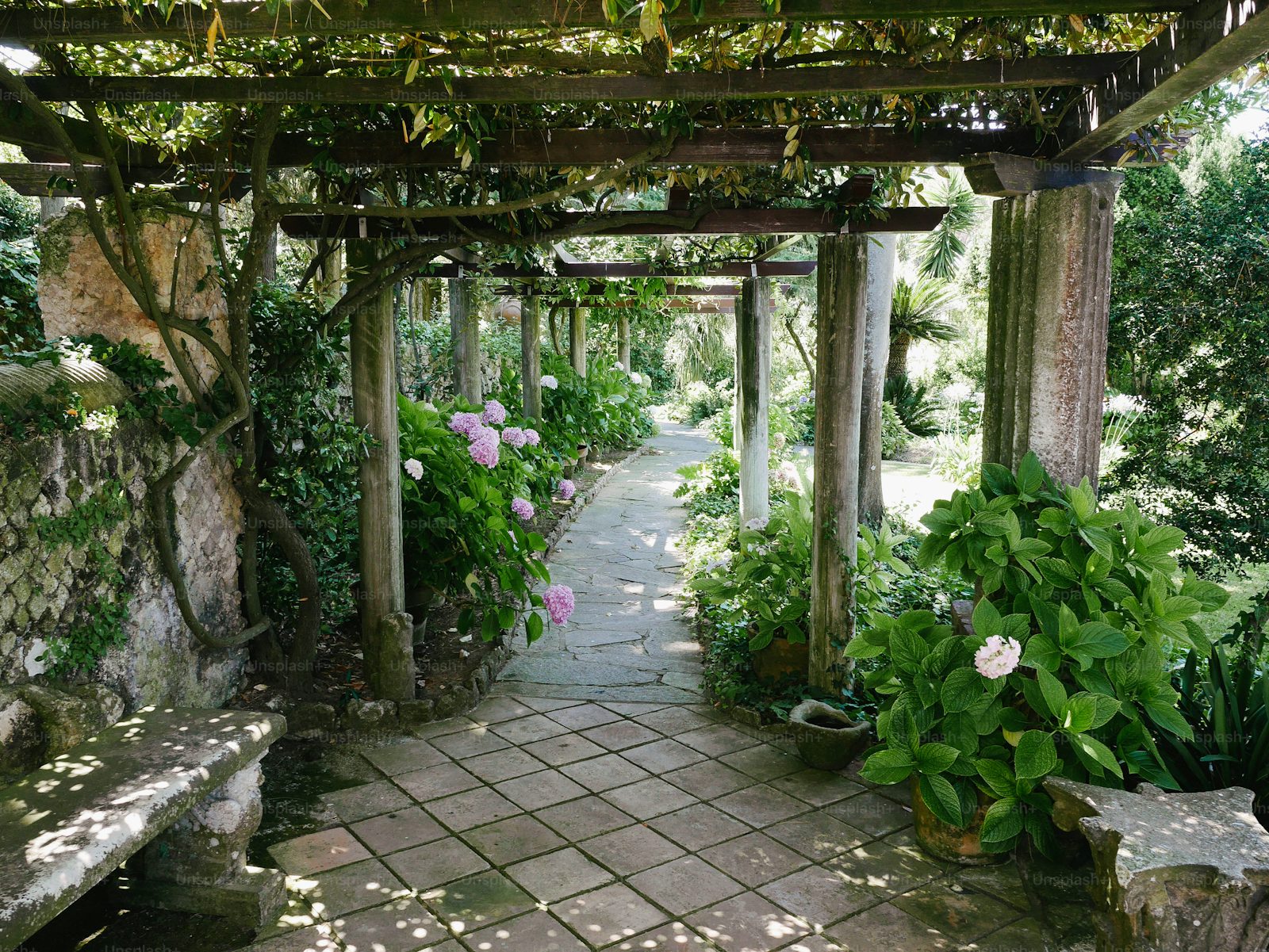 Paved garden walkway beneath a mature planted pergola